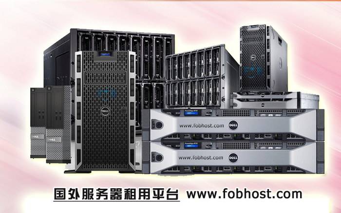 巴西VPS在电子商务物流中的应用(图1)