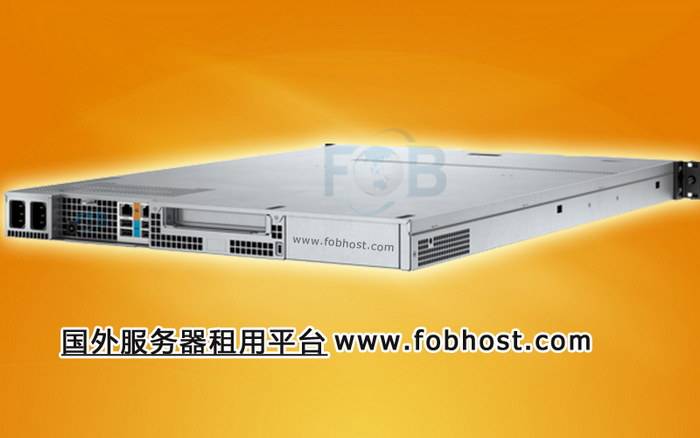 巴西VPS主机支持哪些开发工具和平台？(图1)